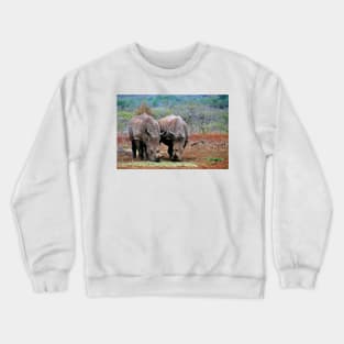 White Rhinoceros Zulu Nyala Game Reserve South Africa Crewneck Sweatshirt